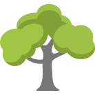Dothan Tree Trimming