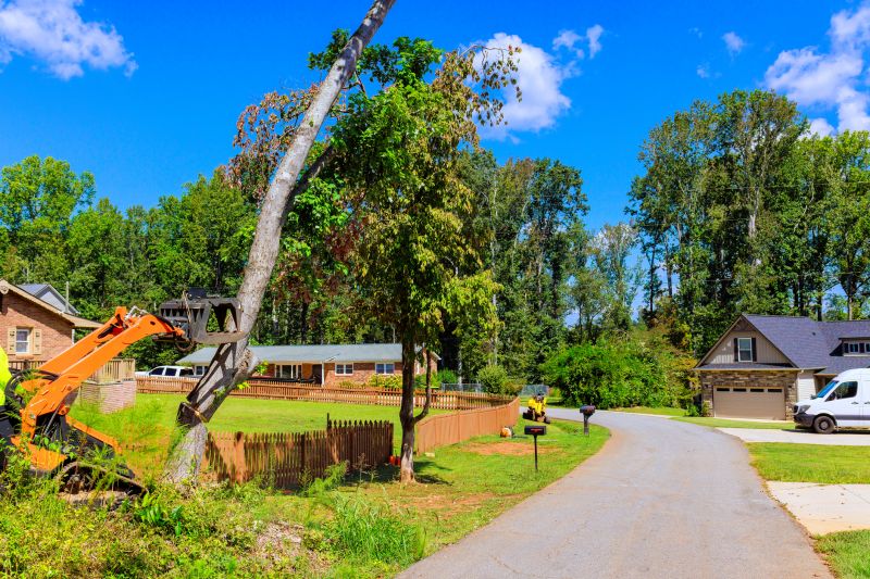 Residential Tree Removal Equipment