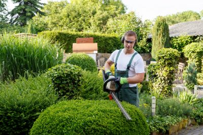 Landscape Tree Care